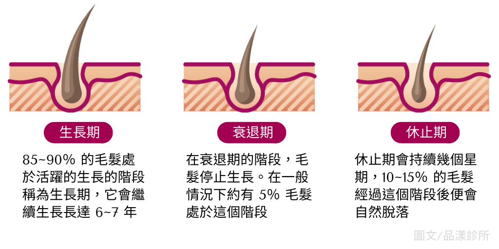 高效除毛技術 療程舒適無痛