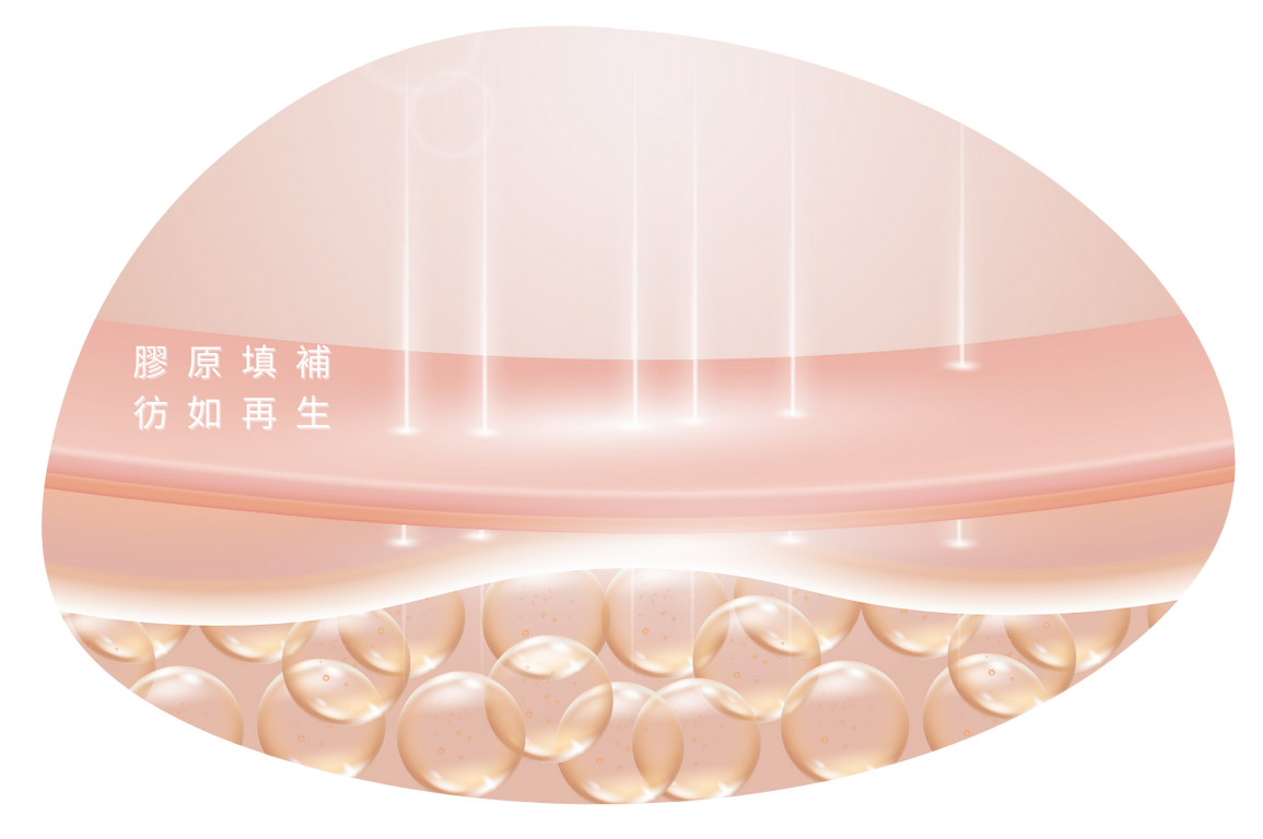 膠原蛋白 (3)