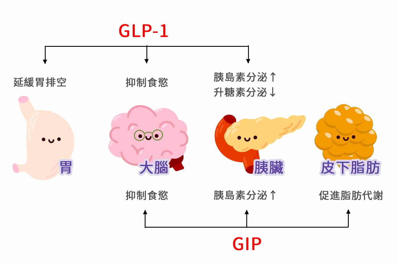 glp-1 therapy in little falls nj If you are a woman in or past menopause and you are on a GLP-1, or considering one, the conversation you need to be having with yourself is not only about the glp-1 therapy in little falls nj If you are a woman in or past menopause and you are on a GLP-1, or considering one, the conversation you need to be having with yourself is not only about the